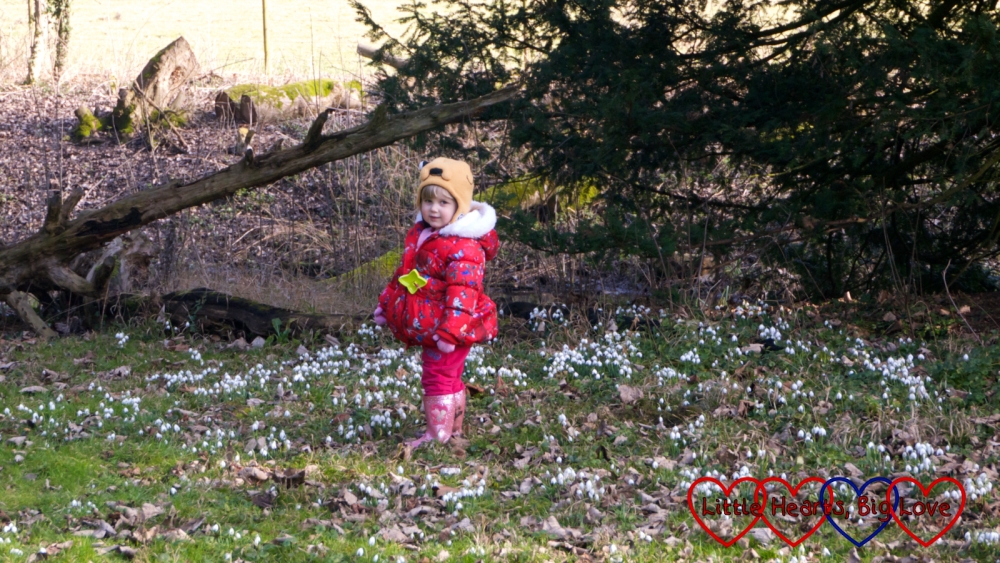 Sophie standing amongst the snowdrops at Ankerwycke