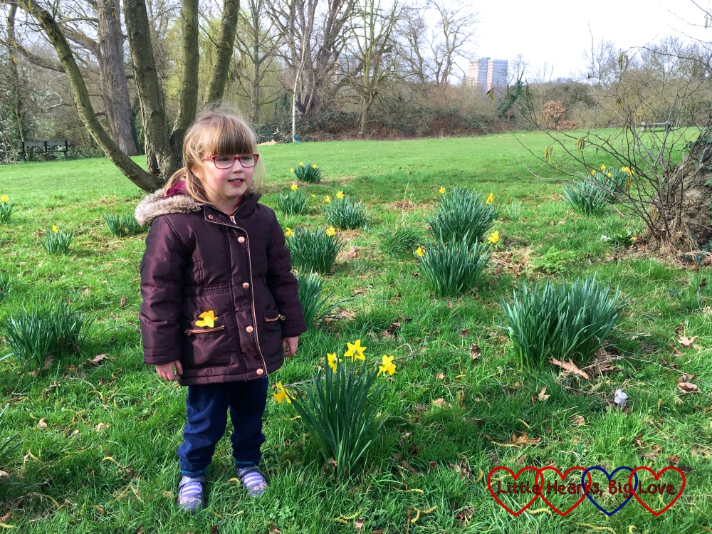 Jessica standing in amongst the daffodils at Brent Lodge Park