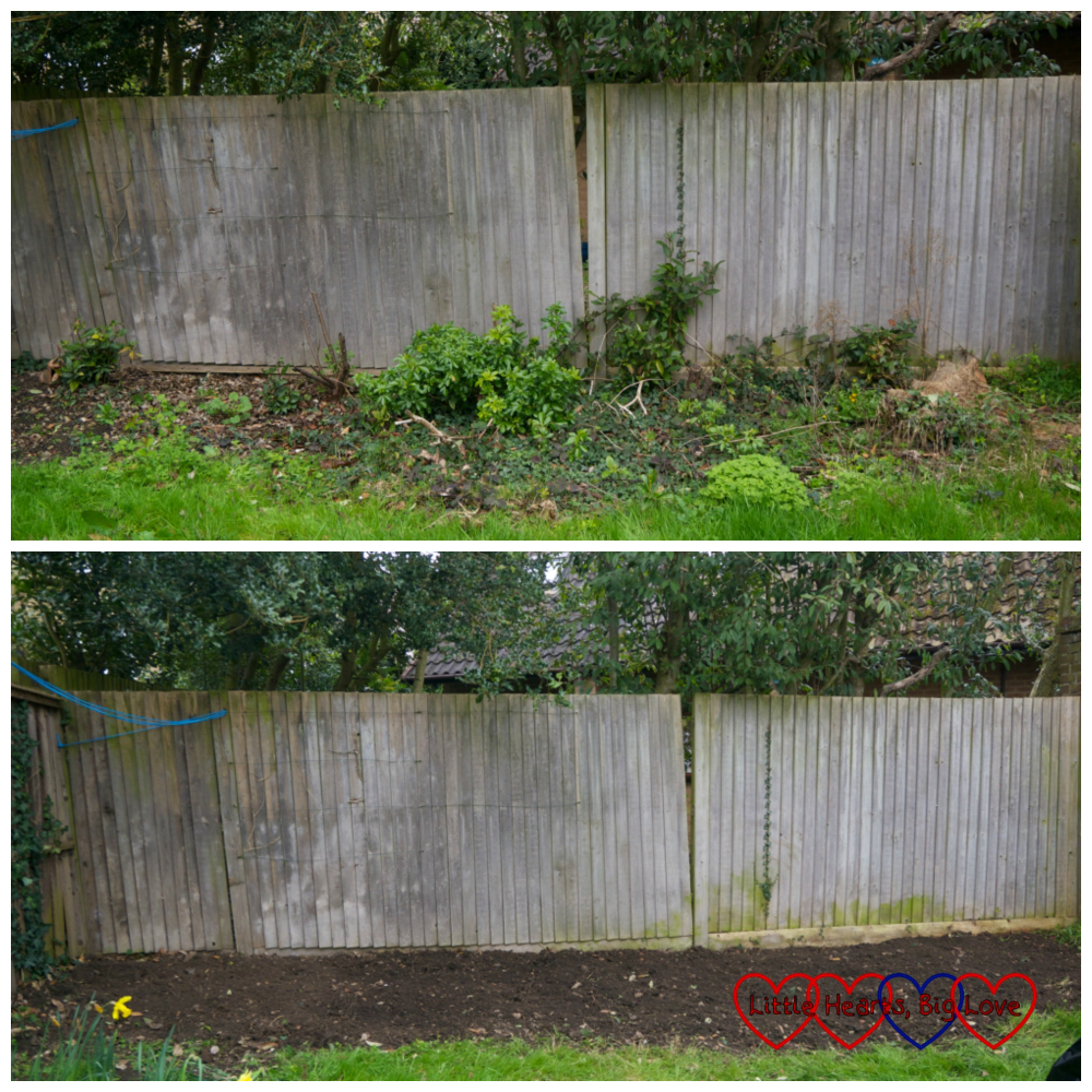 Before and after photo of the overgrown area of my garden that I wanted cleared