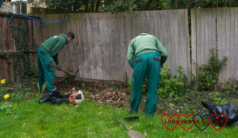 The two gardeners from Fantastic Services at work in the garden
