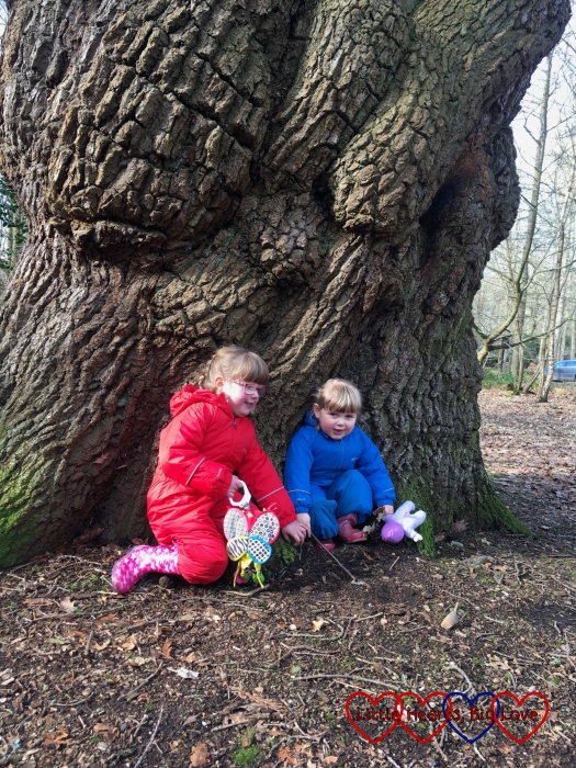 Jessica and Sophie sitting in front of a tree at Langley Park
