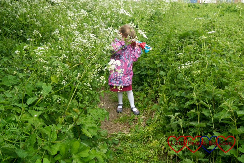 Jessica disappearing on an overgrown footpath