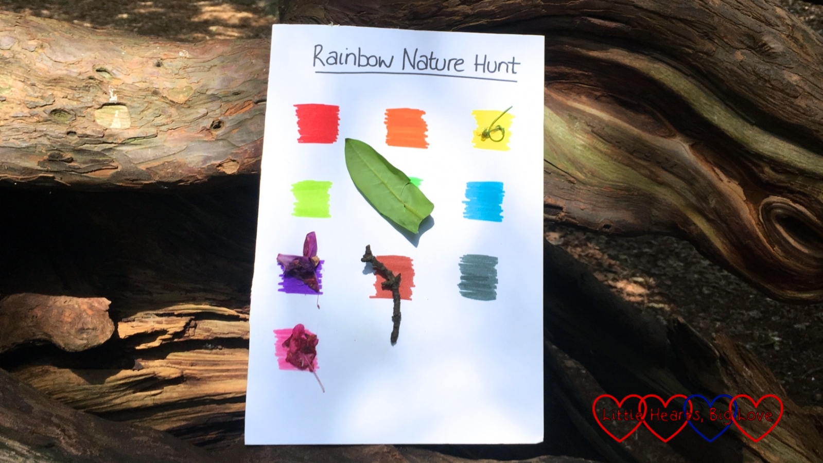 A rainbow nature hunt sheet with some leaves and rhododendron petals stuck to some of the colours