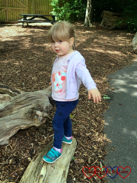 Sophie balancing on a log in the Enchanted Forest area at Legoland
