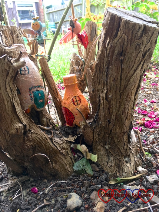Two painted fairy houses nestled in a buddleia tree stump