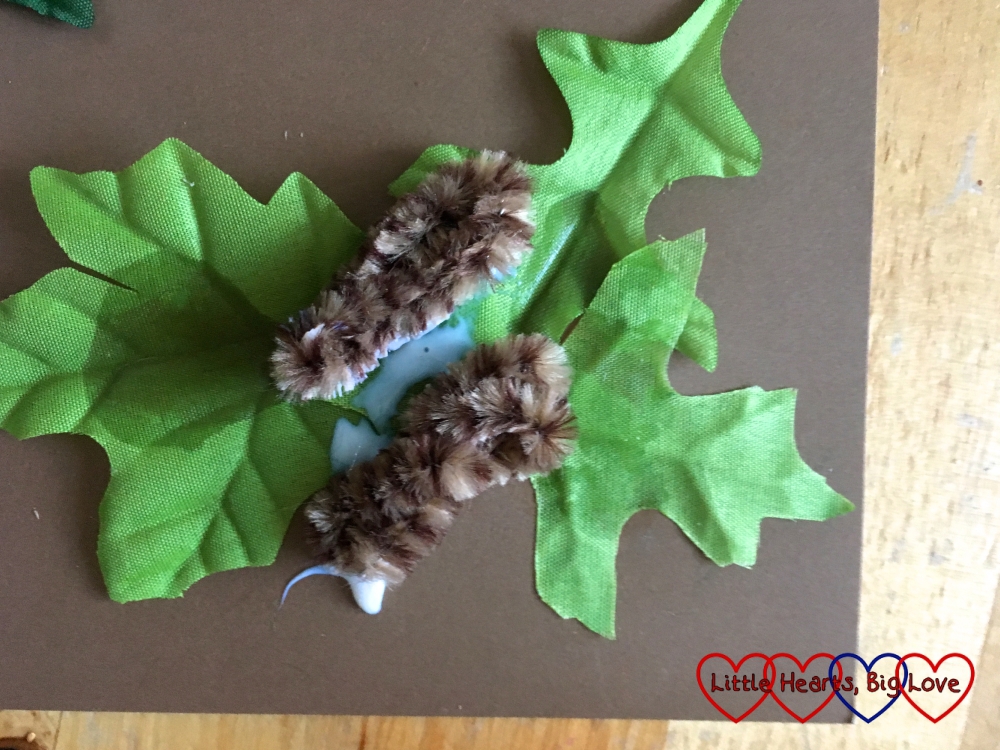 A chrysalis made from brown pipe cleaner glued to a leaf shape