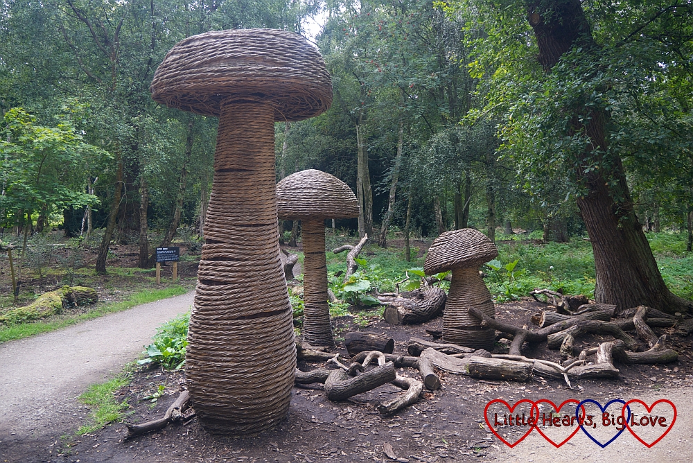 Wooden mushroom sculptures