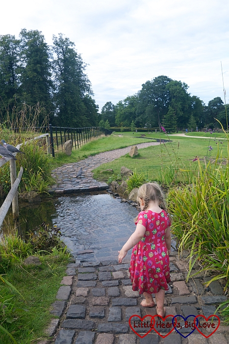 Sophie about to walk through some water on the barefoot walk at Trentham Gardens