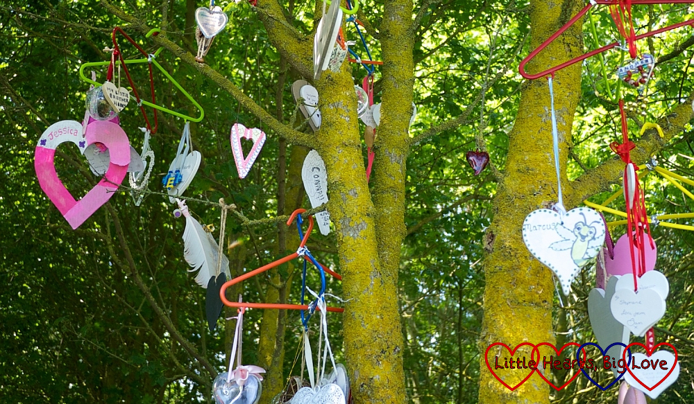 Hearts hanging on the Little Hearts Matter tree
