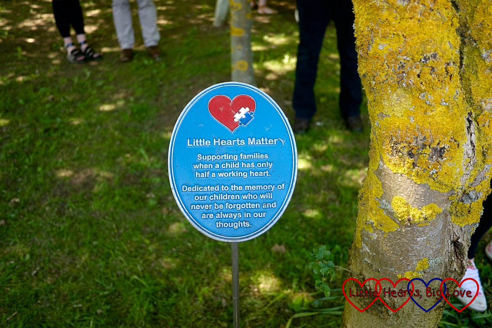 The plaque next to the Little Hearts Matter tree