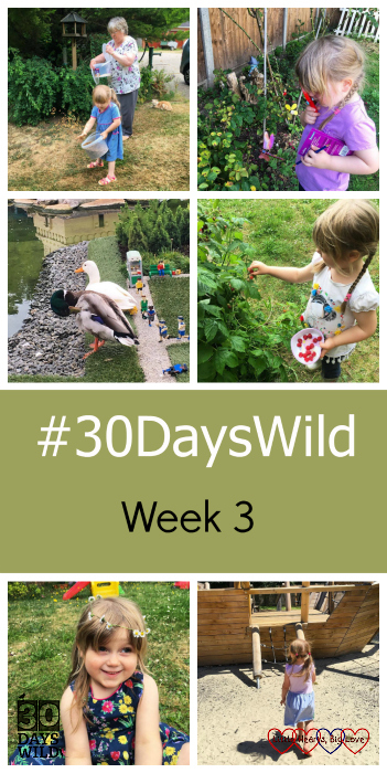 Sophie helping Grandma feed the birds; Sophie taking a closer look with her magnifying glass; two ducks at Legoland; Sophie picking raspberries; Sophie with a daisy chain on her head and Sophie running around barefoot at the adventure playground - "#30DaysWild - Week 3"