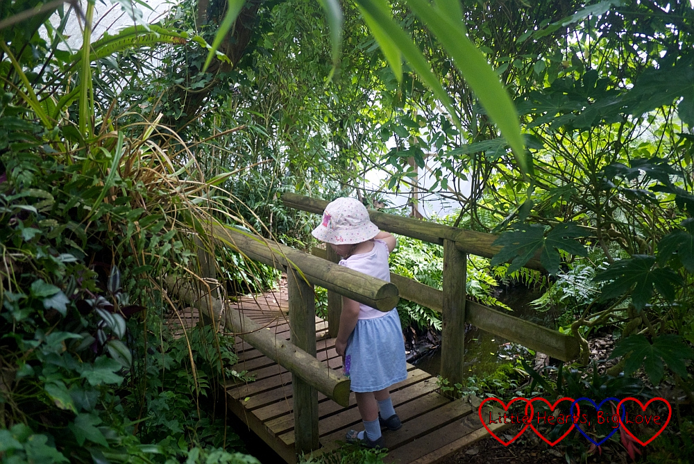 Sophie exploring the rainforest zone