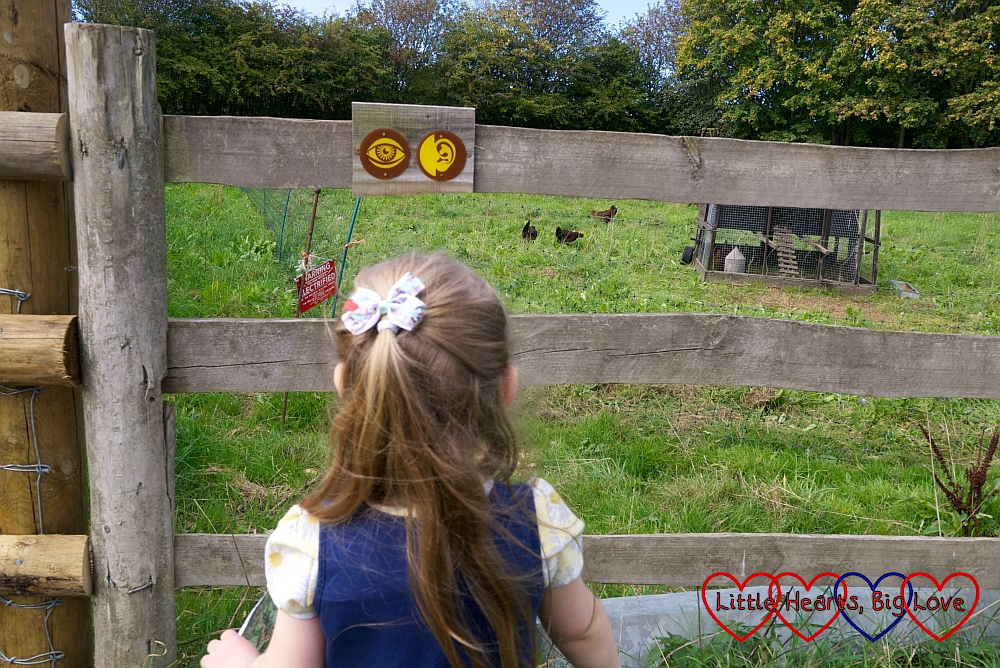 Sophie at one of the sensory trail points, looking at chickens