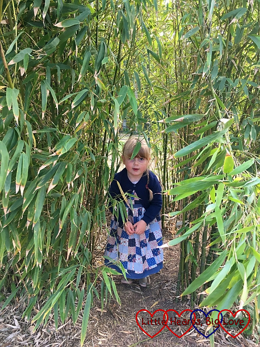 Sophie hiding in the bamboo bush