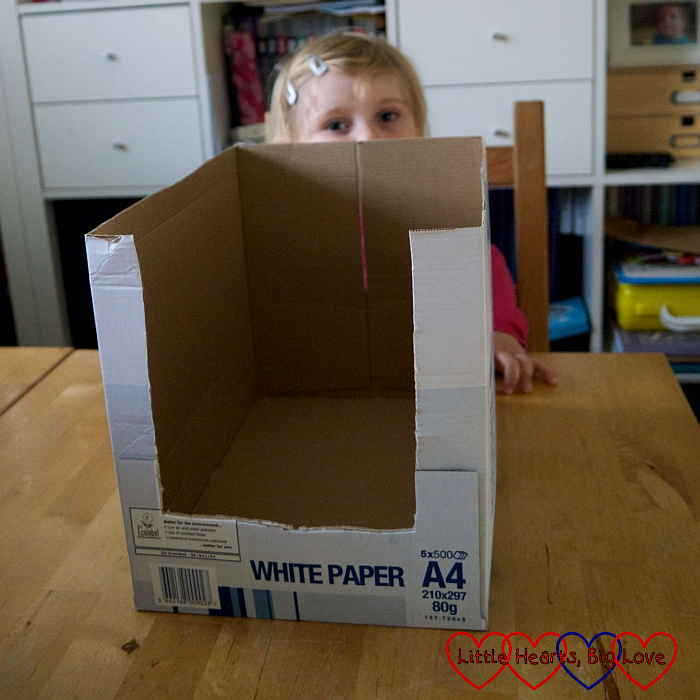 Our cardboard box with a rectangle cut out at the front