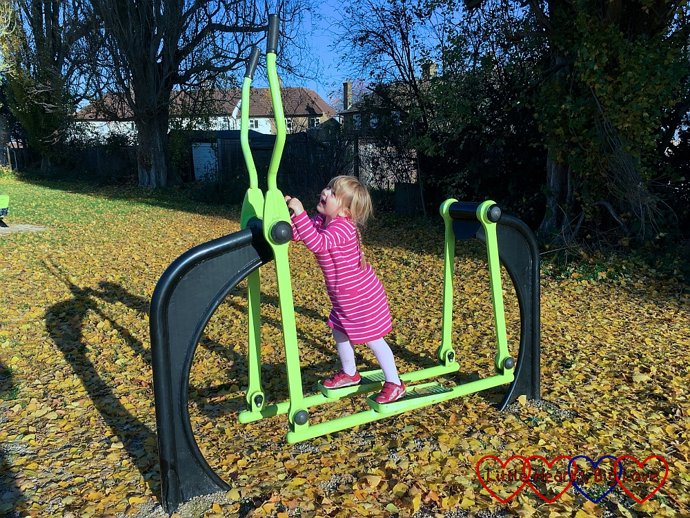Sophie on some outdoor gym equipment