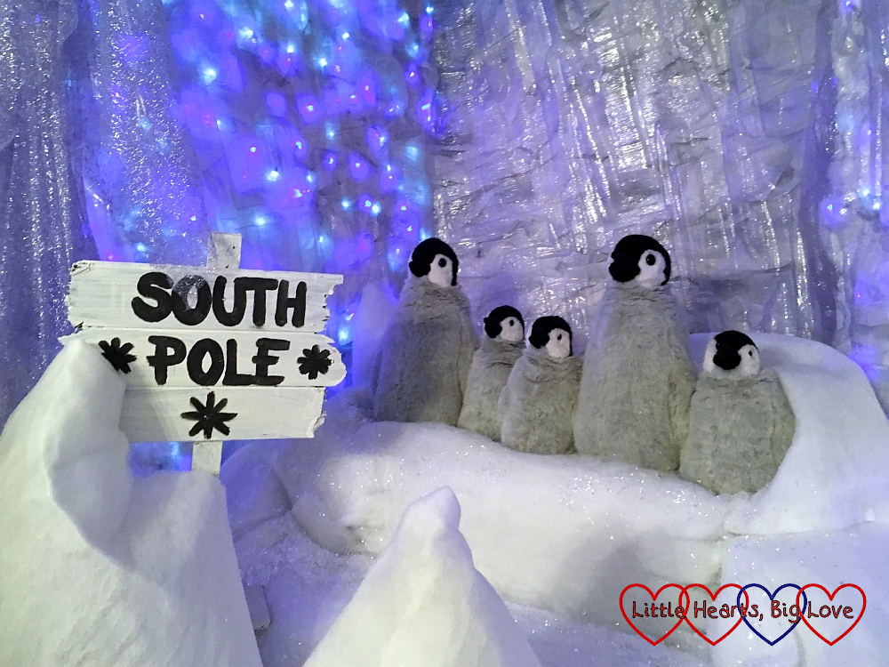 Fluffy penguins at the South Pole