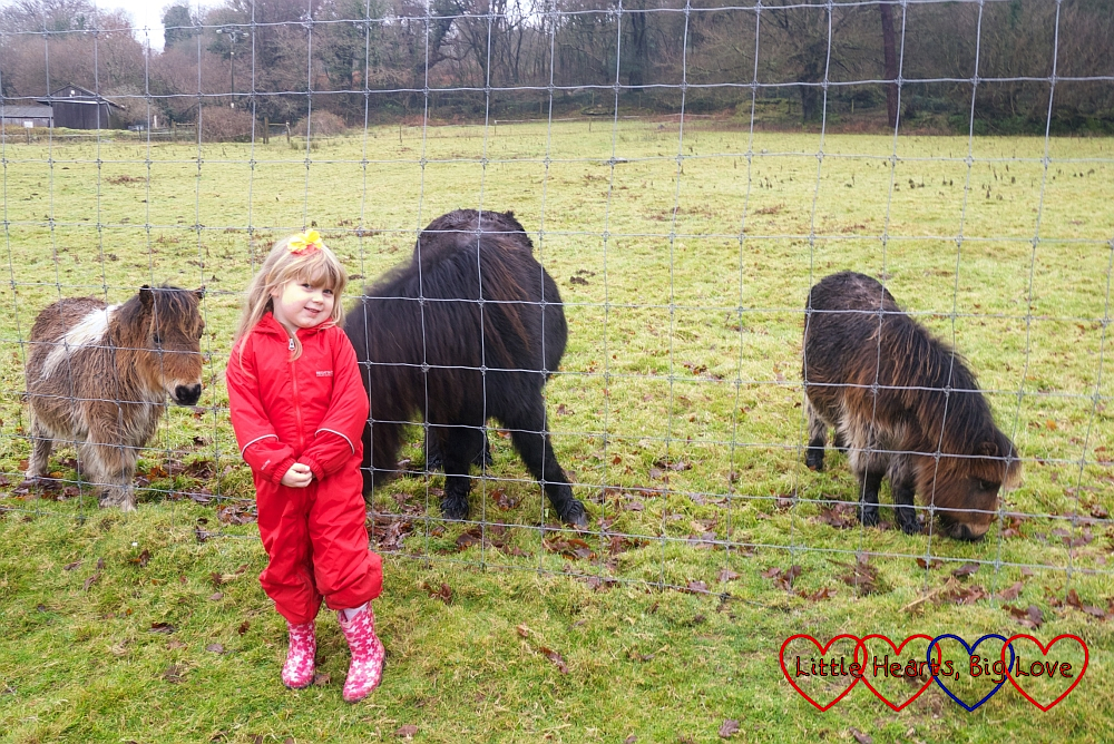 Sophie with the ponies at Coombe Mill