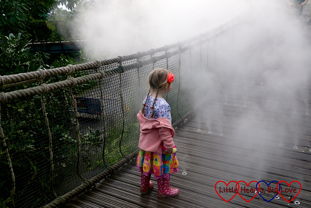 Sophie walking through clouds on the rainforest canopy walkway