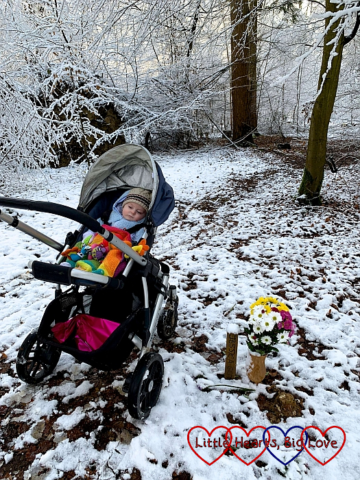 Thomas in his buggy next to Jessica's forever bed in the snow