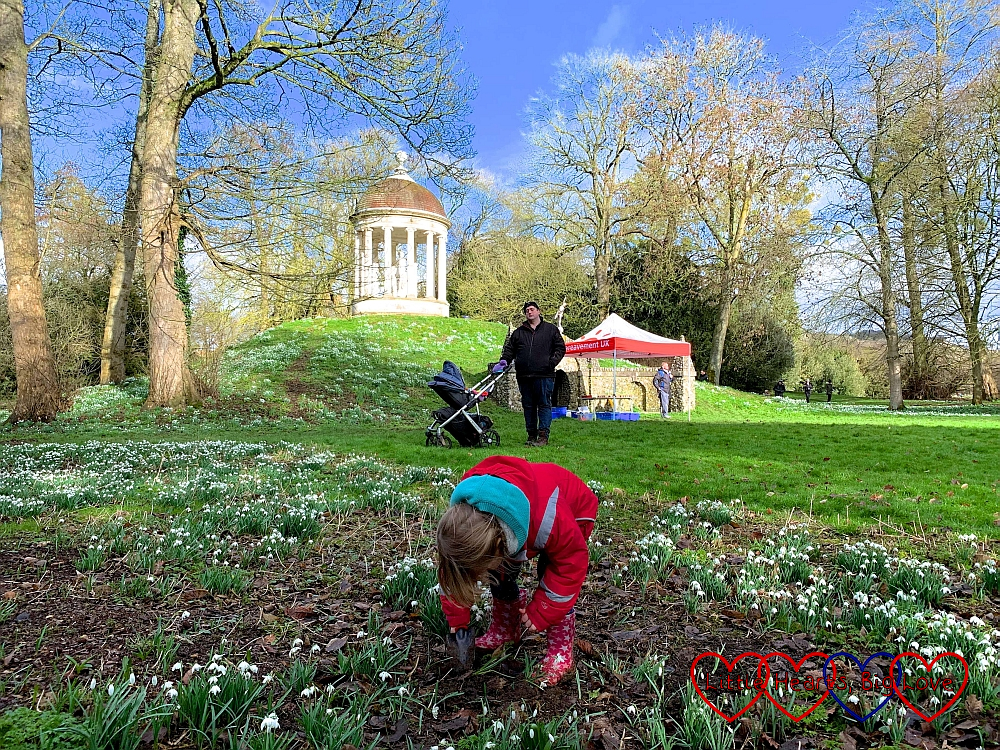 Sophie planting a snowdrop in memory of Jessica at West Wycombe Park