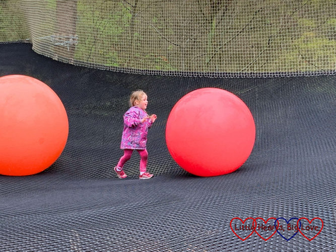 Exploring the Nets Kingdom at Go Ape Black Park Little Hearts, Big Love