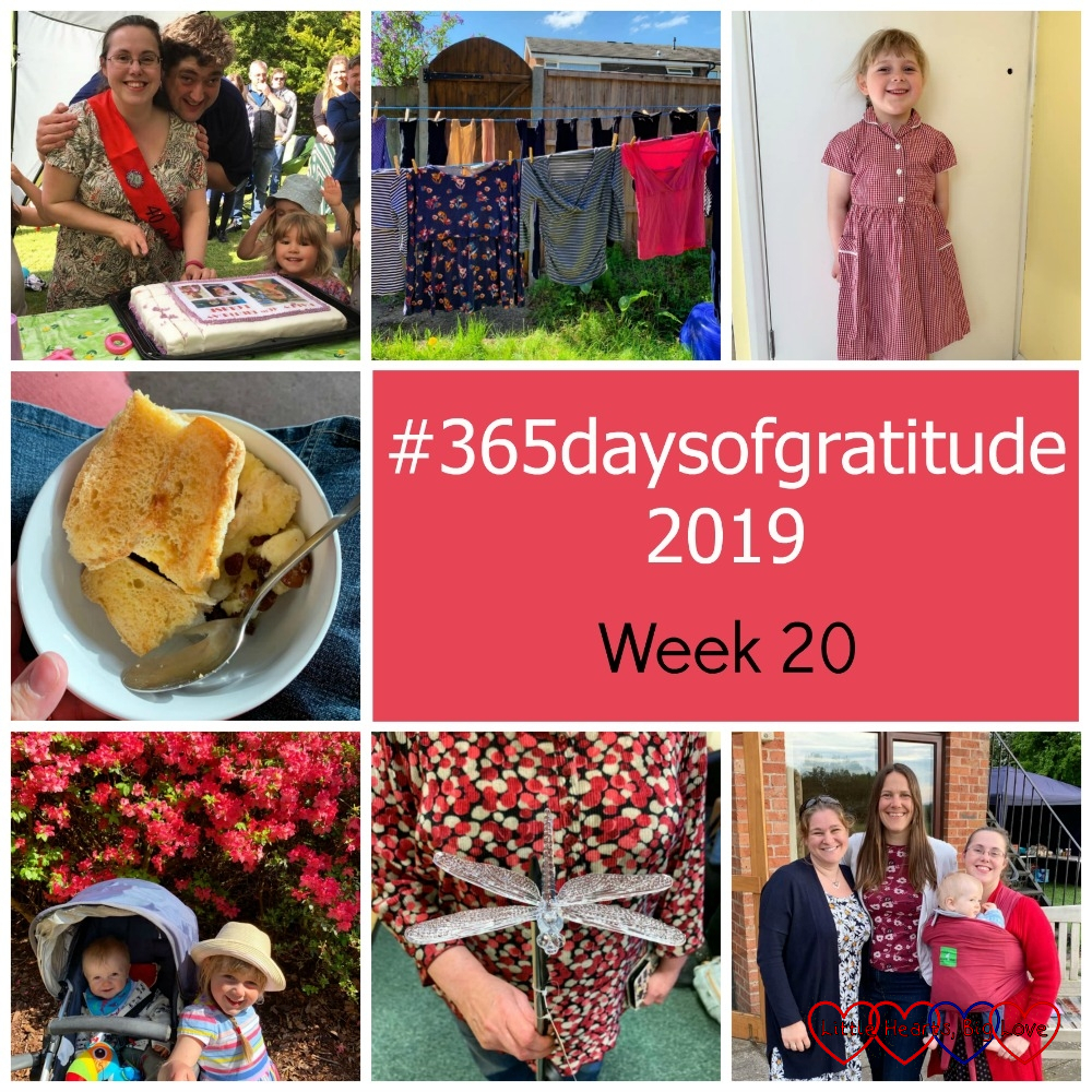 Me cutting the cake at my 40th birthday barbecue; washing on the line; Sophie in her summer dress; bread and butter pudding; Sophie and Thomas in front of a pink rhododendron bush; a pretty dragonfly garden decoration; me with two of my university friends - "#365daysofgratitude 2019 - Week 20"