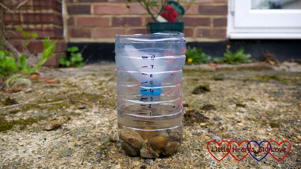 A rain gauge made from a plastic bottle outside in the garden