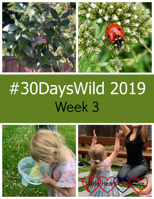 (top - a squirrel looking out of a tree; a ladybird on a leaf; (bottom) - Sophie collecting elderflowers; Sophie doing yoga outdoors - "#30DaysWild 2019 - Week 3"