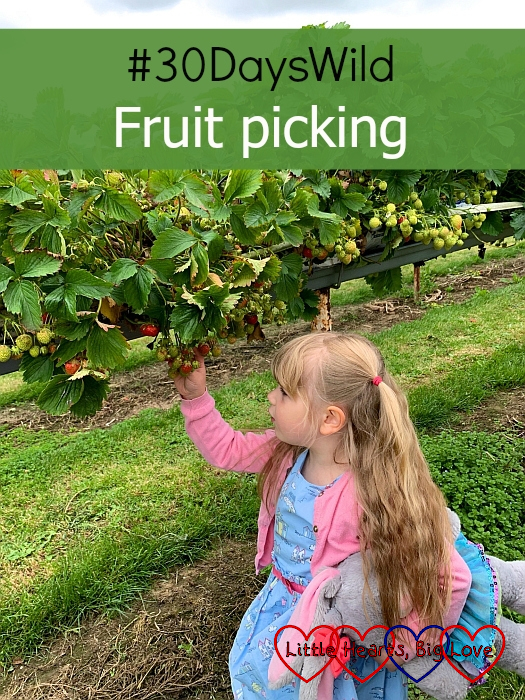 Sophie picking strawberries - "#30DaysWild - Fruit picking"