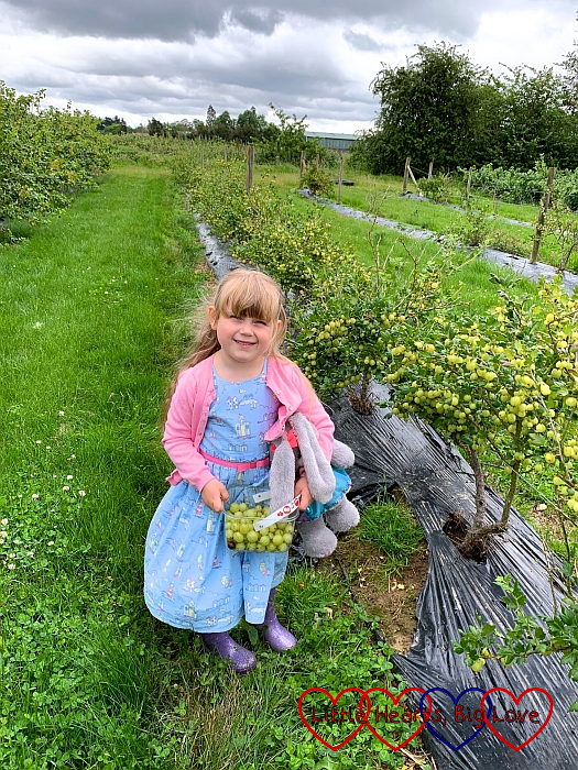 Sophie with her punnet of gooseberries