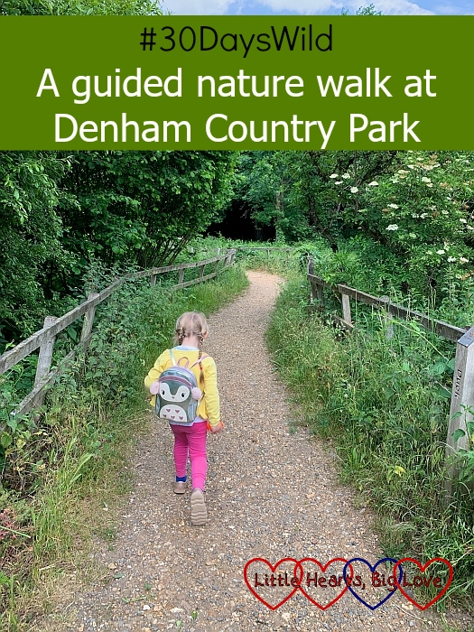 Sophie walking through the woods - "#30dayswild - a guided nature walk at Denham Country Park"