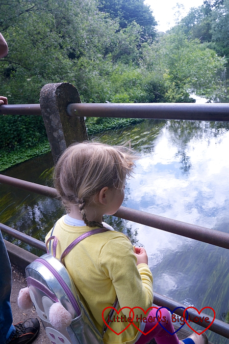 Sophie looking at the River Colne from a bridge