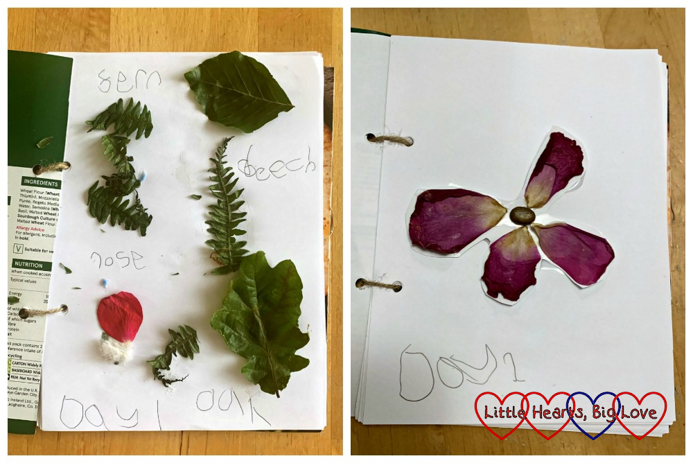 Day 1 and Day 2 pages of Sophie's nature journal showing stuck-in leaves and a flower made from petals and a pebble