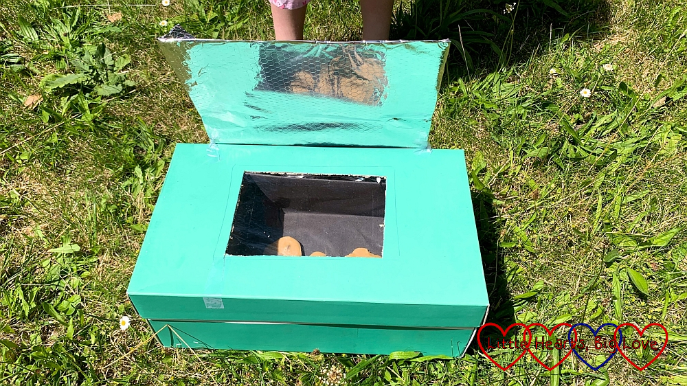 The solar oven in the garden with cookie dough inside