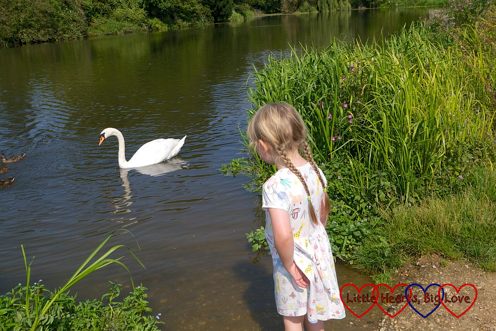 Sophie looking at a swan on a lake near Waverley Abbey