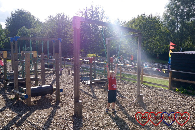 A day out at Bocketts Farm Park Little Hearts, Big Love