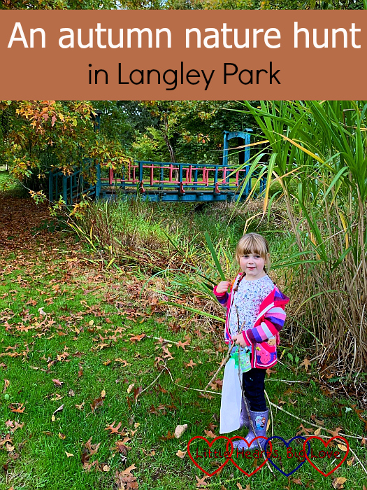 Sophie standing by the bridge in the arboretum at Langley Park – “An autumn nature hunt in Langley Park”