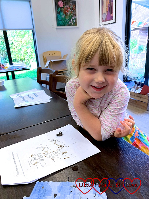 Sophie with some of the rodent bones found in the owl pellet laid out on an information sheet