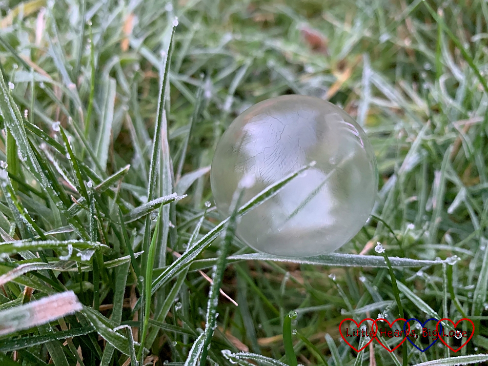 A frozen bubble on the grass