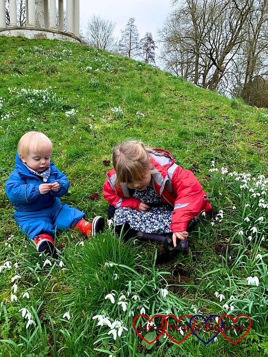 Sophie and Thomas sitting in a field of snowdrops with Sophie digging a hole with a trowel to plant a snowdrop
