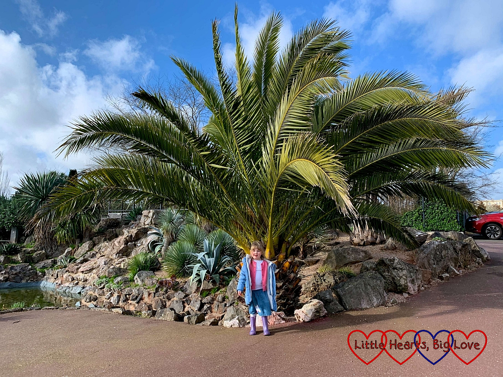 Sophie standing in front of a big palm tree