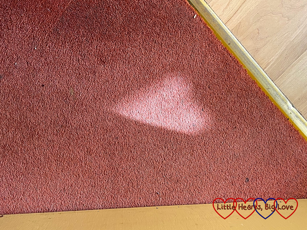 A heart-shaped patch of light on the dining room carpet