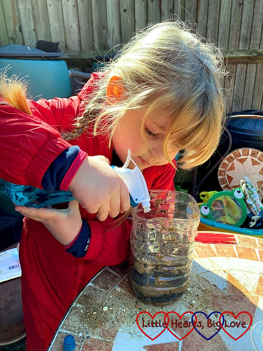 Sophie squirting the compost layer with water from a spray bottle