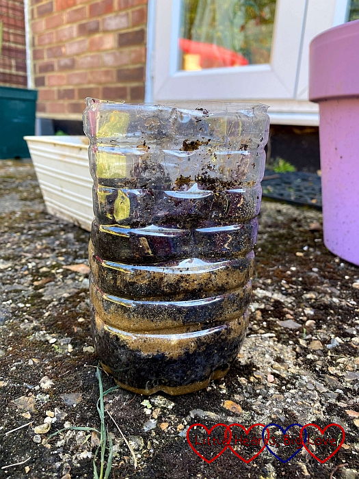 Layers of sharp sand and compost inside a plastic bottle