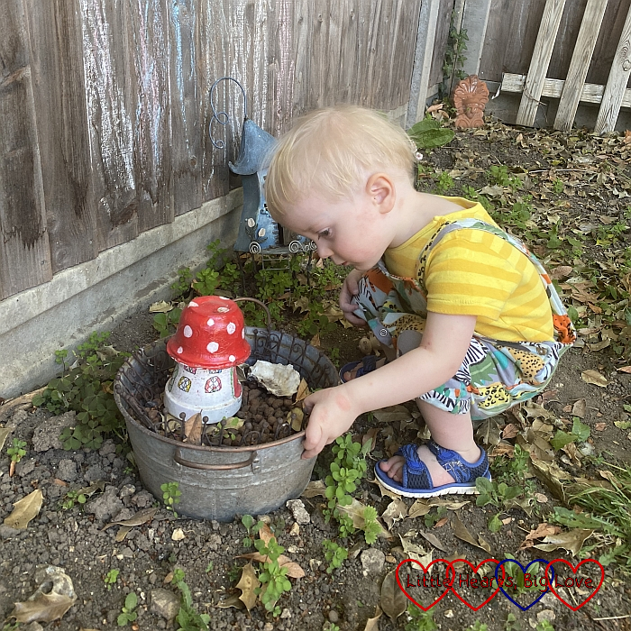 Thomas investigating the fairy house I made