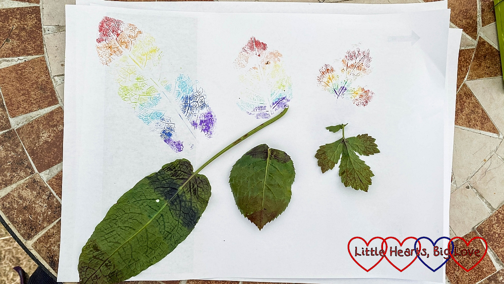 Three leaves on a piece of paper with a rainbow print of each leaf above it