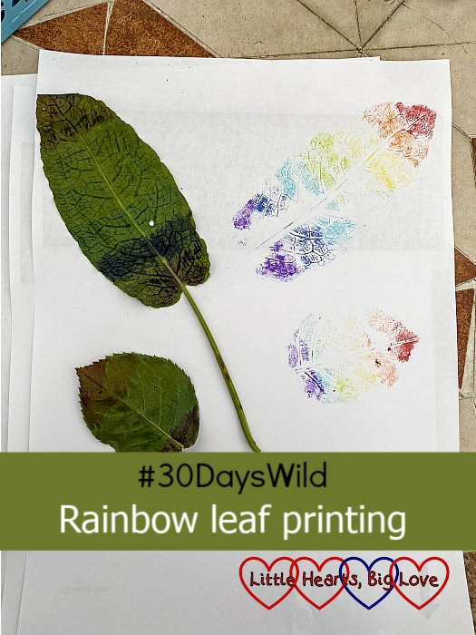 Two leaves on a piece of paper with a rainbow print of each leaf next to it - "#30DaysWild - Rainbow leaf printing"