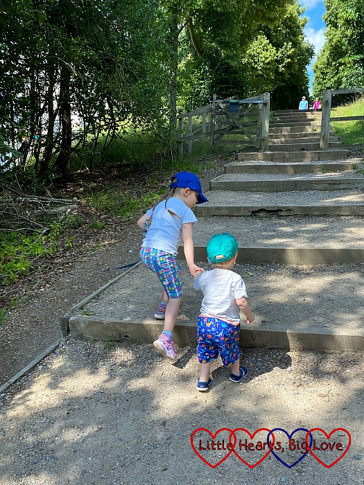 Sophie helping Thomas up the steps of the Yew Tree Walk at Cliveden