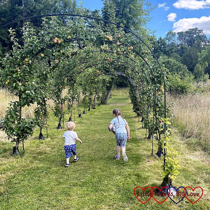 Sophie and Thomas running through the round fruit garden at Cliveden